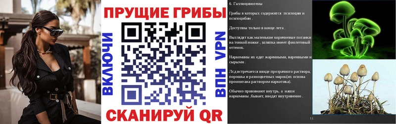 продажа наркотиков  Буинск  Псилоцибиновые грибы Psilocybine cubensis 